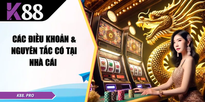 Các điều khoản & nguyên tắc có tại nhà cái 