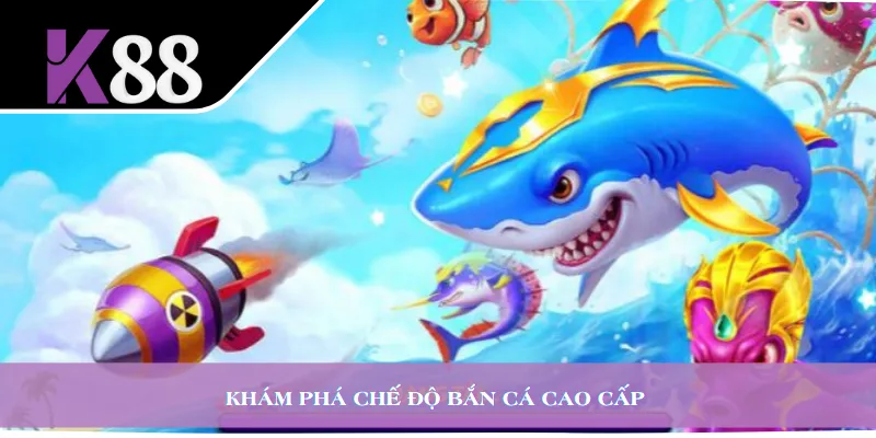 Khám phá chế độ bắn cá cao cấp 