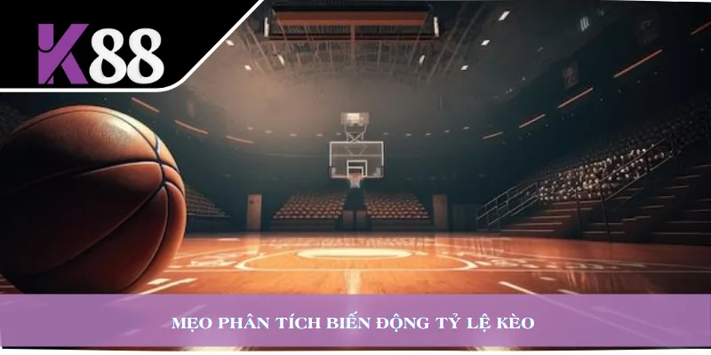 Mẹo phân tích biến động tỷ lệ kèo 