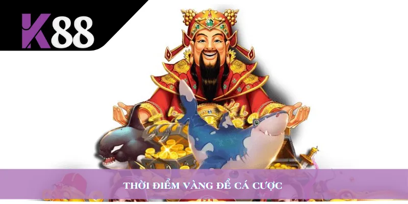 Thời điểm vàng để cá cược 