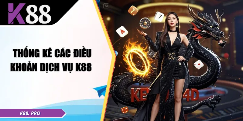 Thống kê các điều khoản dịch vụ K88 